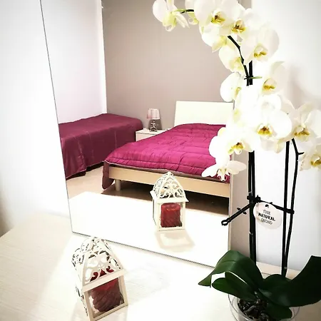 Fiori E Colori Guest house *