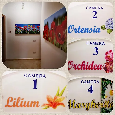 Guest house Fiori E Colori *