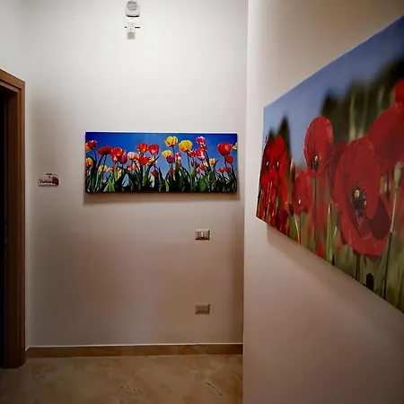 Guest house Fiori E Colori *