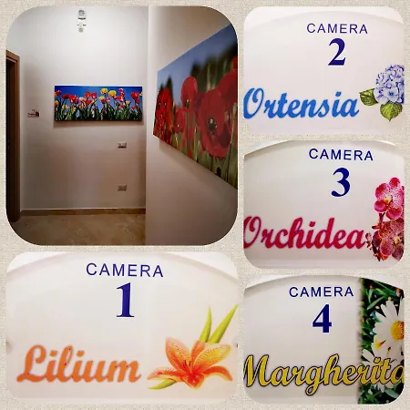 Гостевой дом Fiori E Colori 3*